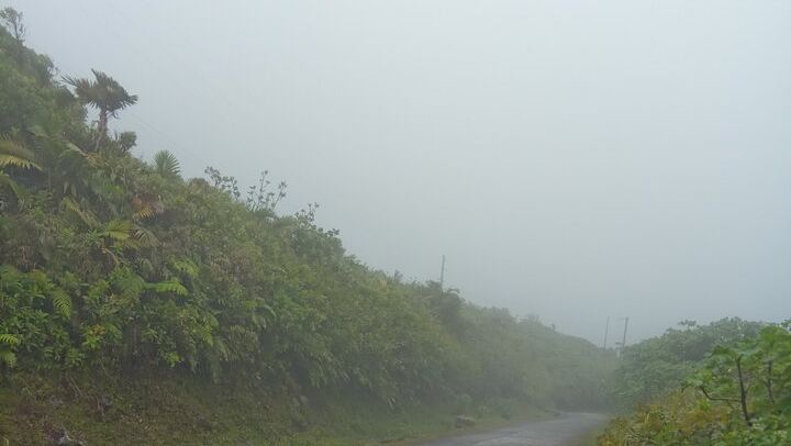 Private Minibus Tour in Dominica: Trafalgar Falls, Ti Tou Gorge, Lunch, Rum Punch (4/6)