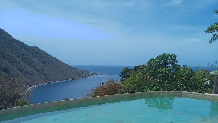 Private Minibus Tour in Dominica: Trafalgar Falls, Ti Tou Gorge, Lunch, Rum Punch (2/6)