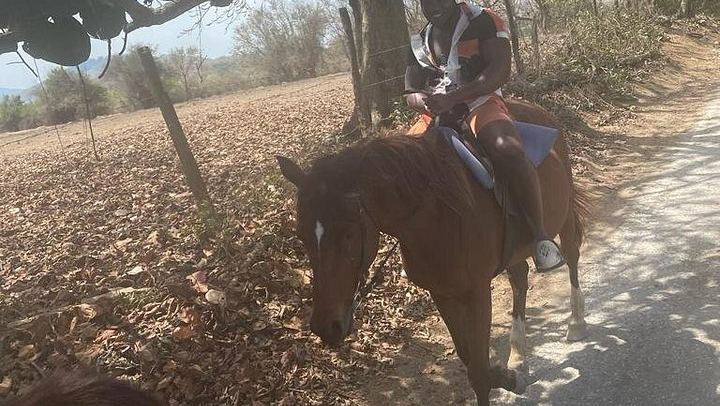 Private Dunn's River Falls and Sea Horseback Ride with VIP Entrance, Montego Bay (1/10)