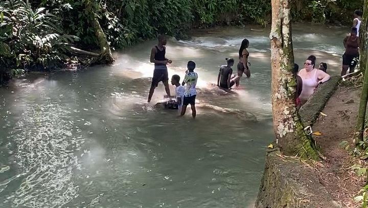 Private Dunn's River Falls and Sea Horseback Ride with VIP Entrance, Montego Bay (3/10)