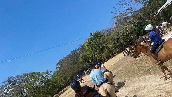 Private Dunn's River Falls and Sea Horseback Ride with VIP Entrance, Montego Bay (2/10)
