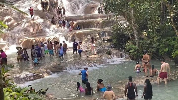 Private Dunn's River Falls and Sea Horseback Ride with VIP Entrance, Montego Bay (4/10)