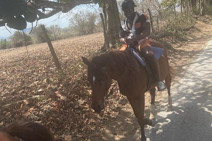 Private Dunn's River Falls and Sea Horseback Ride with VIP Entrance, Montego Bay (1/10)