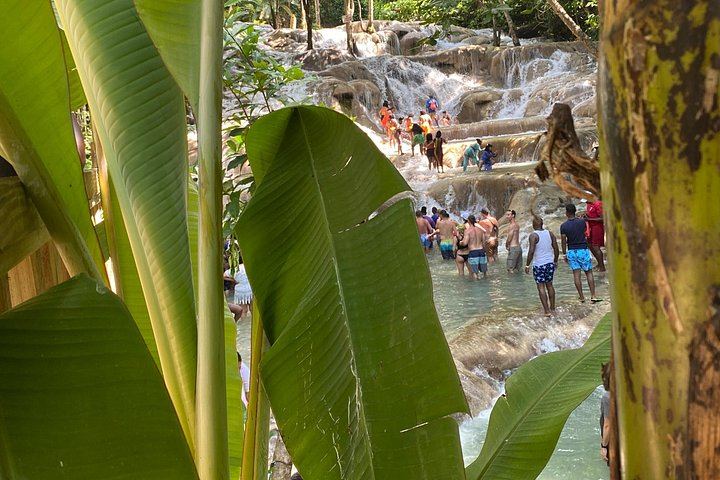 Private Dunn's River Falls and Sea Horseback Ride with VIP Entrance, Montego Bay (8/10)