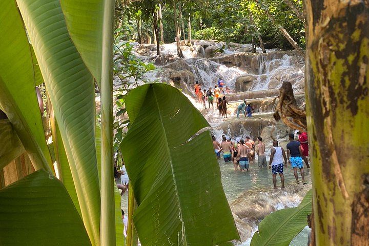 Private Dunn's River Falls and Sea Horseback Ride with VIP Entrance, Montego Bay (9/10)