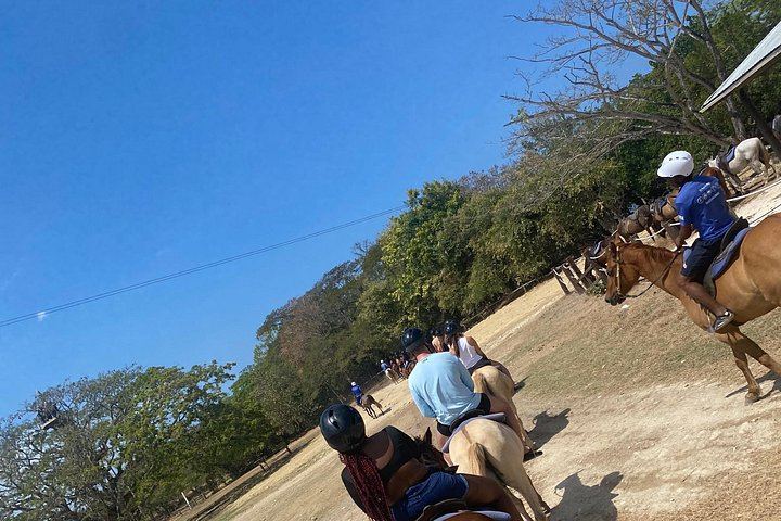 Private Dunn's River Falls and Sea Horseback Ride with VIP Entrance, Montego Bay (2/10)