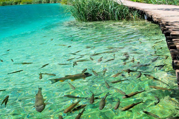 Private Rastoke, Cheese Farm and Plitvice Lakes Day Trip from Zagreb by Driver-Guide (3/12)