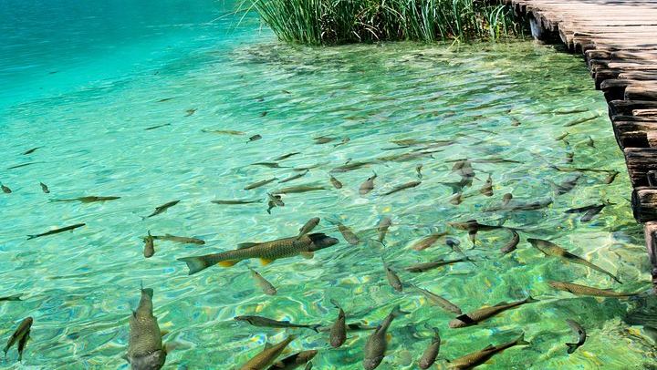 Private Rastoke, Cheese Farm and Plitvice Lakes Day Trip from Zagreb by Driver-Guide (3/12)