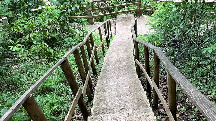 Private Gozalandia Falls and Crash Boat Beach Day Trip from T-Mobile District (2/12)