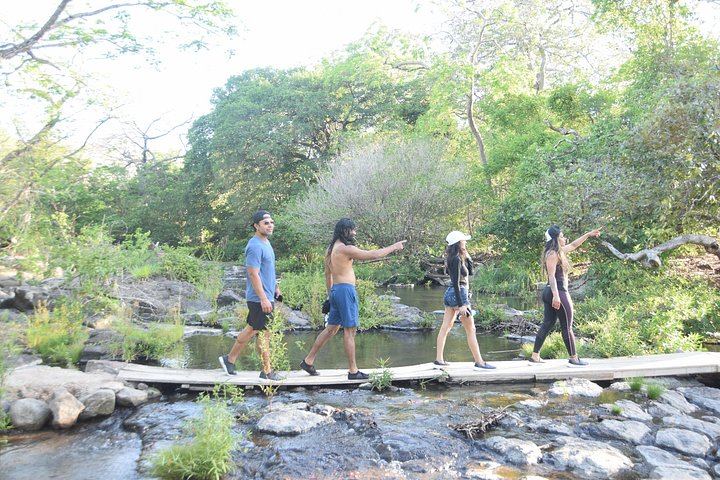 Private Full-Day Curubande Tubing, Cliff Jump, La Leona and Llanos de Cortes (4/12)