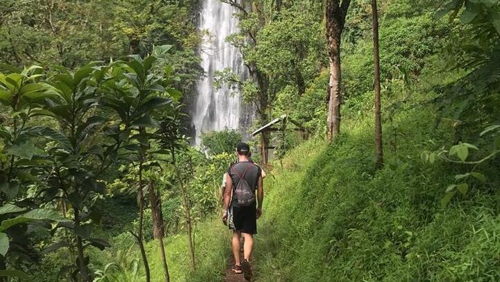 Full-Day Materuni Waterfall, Coffee Village and Kikuletwa Hot Spring Trip with Snacks (1/6)