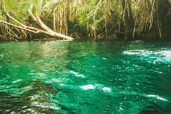 Full-Day Materuni Waterfall, Coffee Village and Kikuletwa Hot Spring Trip with Snacks