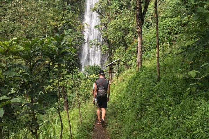 Full-Day Materuni Waterfall, Coffee Village and Kikuletwa Hot Spring Trip with Snacks (1/6)
