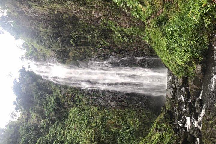 Full-Day Materuni Waterfall, Coffee Village and Kikuletwa Hot Spring Trip with Snacks (4/6)