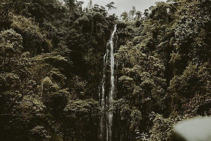 Full-Day Materuni Waterfall, Coffee Village and Kikuletwa Hot Spring Trip with Snacks (5/6)