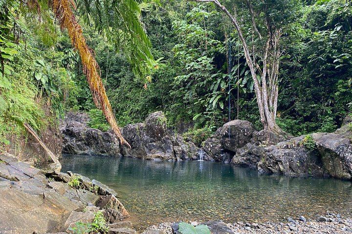 Private Las Tinajas Day Tour from San Juan with Transport, Fruit and 6 Guests Max (10/12)