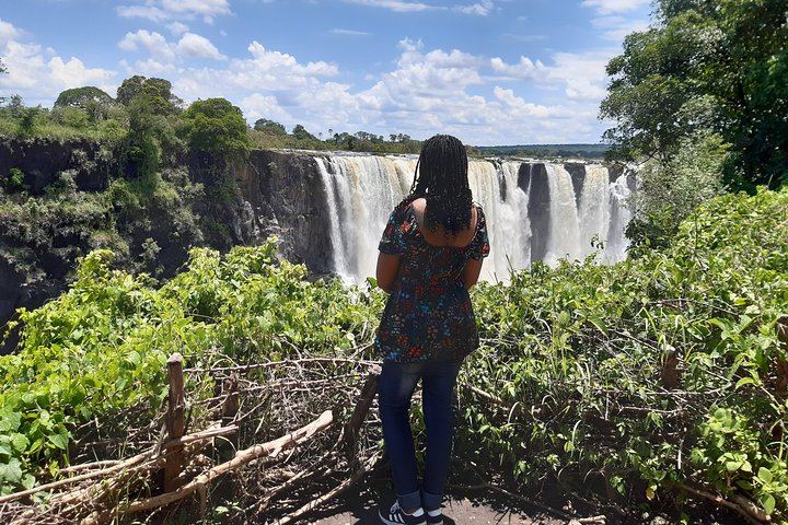 Victoria Falls Private Guided Tour with Hotel Pickup in Air-Conditioned Vehicle (11/12)