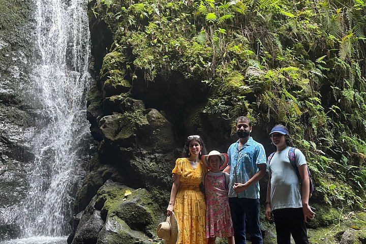Private Makamakaole Trail Waterfall Hike, Maui: Bamboo Forest and Stream Crossings (9/12)