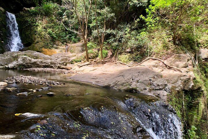 Private Makamakaole Trail Waterfall Hike, Maui: Bamboo Forest and Stream Crossings (5/12)