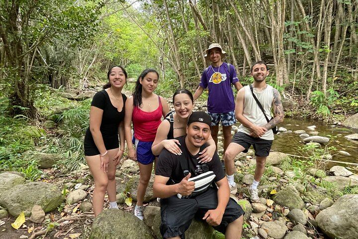 Private Makamakaole Trail Waterfall Hike, Maui: Bamboo Forest and Stream Crossings (3/12)