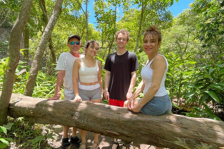 Private Makamakaole Trail Waterfall Hike, Maui: Bamboo Forest and Stream Crossings (11/12)