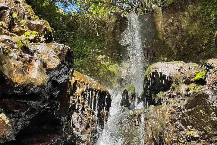 Private Makamakaole Trail Waterfall Hike, Maui: Bamboo Forest and Stream Crossings (7/12)