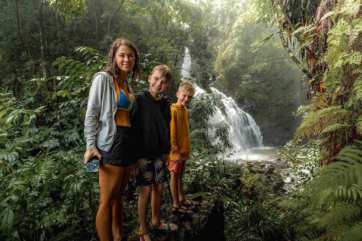 Private Hana Jungle Waterfall Hike for up to 4, Optional Professional Photos, 3.5 Hours (1/12)
