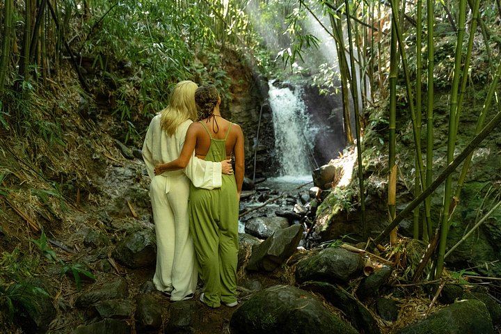 Private Hana Jungle Waterfall Hike for up to 4, Optional Professional Photos, 3.5 Hours (6/12)