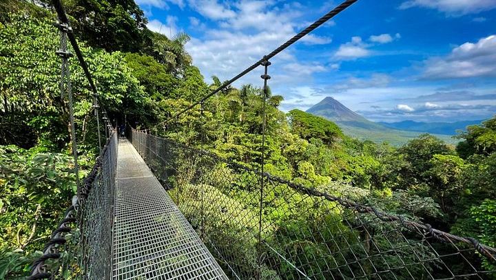 Private Day: Mistico Hanging Bridges, La Fortuna Waterfall, Arenal Lava Fields and Lunch (1/12)