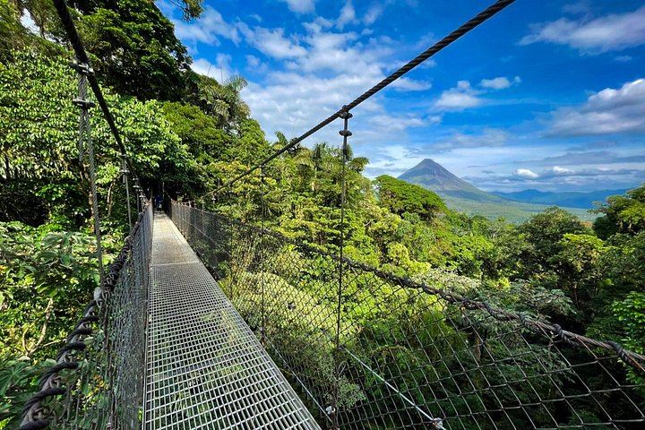 Private Day: Mistico Hanging Bridges, La Fortuna Waterfall, Arenal Lava Fields and Lunch (1/12)