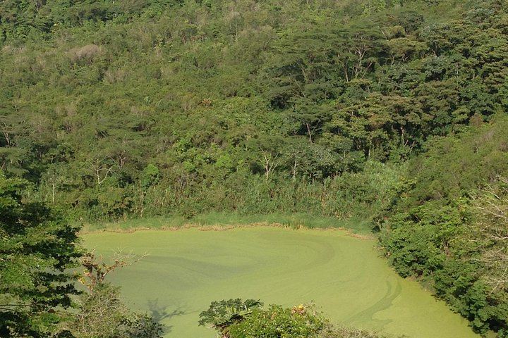 Private Day: Mistico Hanging Bridges, La Fortuna Waterfall, Arenal Lava Fields and Lunch (5/12)