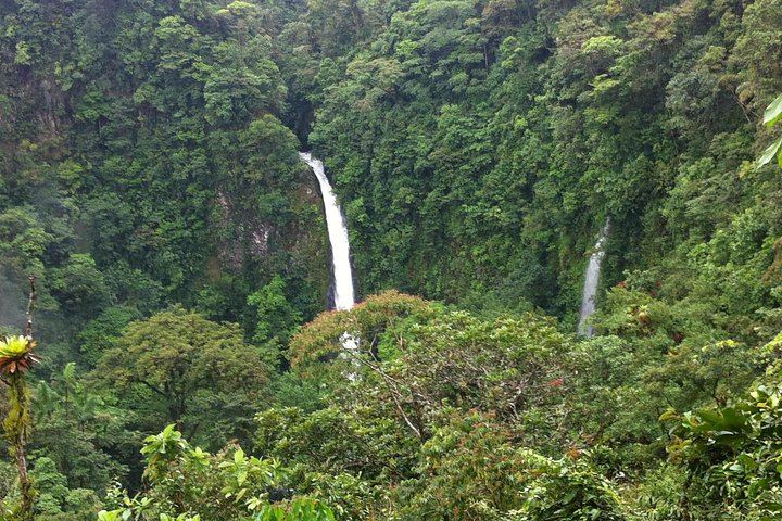 Private Day: Mistico Hanging Bridges, La Fortuna Waterfall, Arenal Lava Fields and Lunch (11/12)