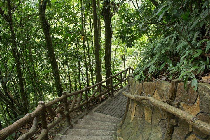 Private Day: Mistico Hanging Bridges, La Fortuna Waterfall, Arenal Lava Fields and Lunch (12/12)