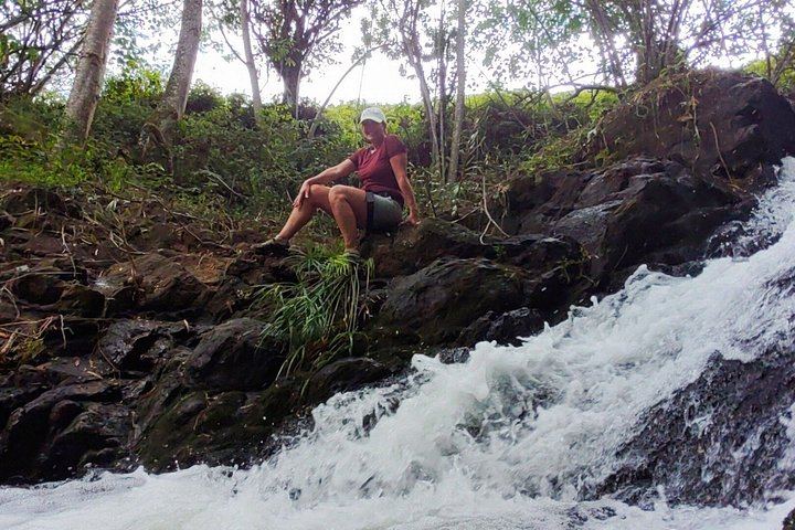 Anahola Private Jungle Waterfall Hike with Charlie the Hawaiian Dundee, 4WD Jeep Transfer (11/12)