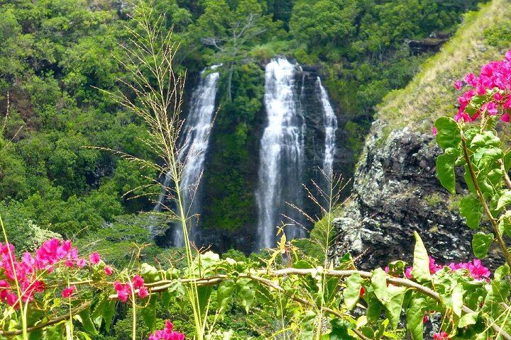 Private Kauai Eastside Waterfalls and Local Grinds Tour: 5.5 Hours, Bakery and Kapaa Lunch (3/12)