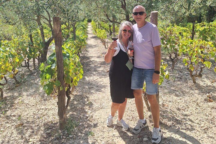 Private or Semi-Private Krka Waterfalls Day Trip from Split with Plastovo Winery Lunch (6/12)