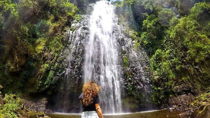 Private Materuni Waterfall, Coffee Farm and Kikuletwa Hot Spring Tour from Arusha Hotel (1/12)