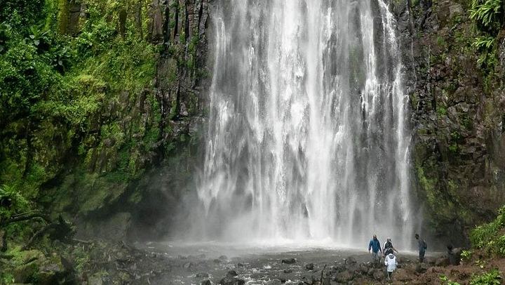 Private Materuni Waterfall, Coffee Farm and Kikuletwa Hot Spring Tour from Arusha Hotel (4/12)
