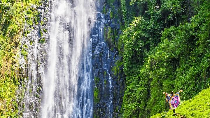 Private Materuni Waterfall, Coffee Farm and Kikuletwa Hot Spring Tour from Arusha Hotel (3/12)