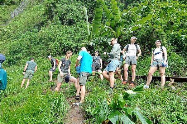 Private Materuni Waterfall, Coffee Farm and Kikuletwa Hot Spring Tour from Arusha Hotel
