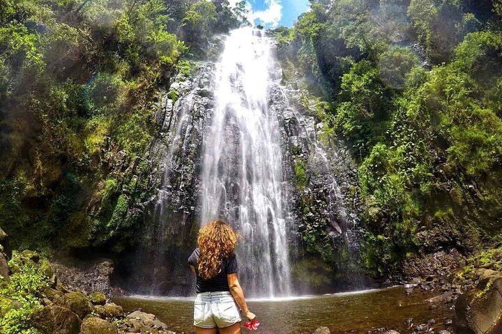 Private Materuni Waterfall, Coffee Farm and Kikuletwa Hot Spring Tour from Arusha Hotel (1/12)