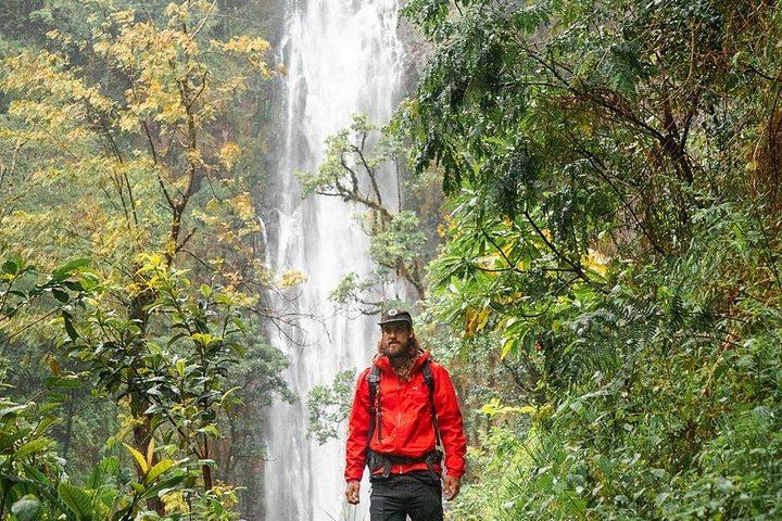 Private Materuni Waterfall, Coffee Farm and Kikuletwa Hot Spring Tour from Arusha Hotel (2/12)