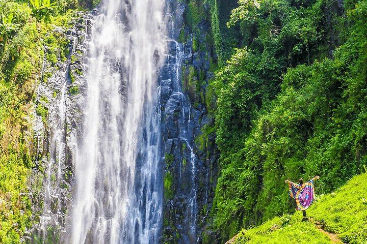 Private Materuni Waterfall, Coffee Farm and Kikuletwa Hot Spring Tour from Arusha Hotel (3/12)