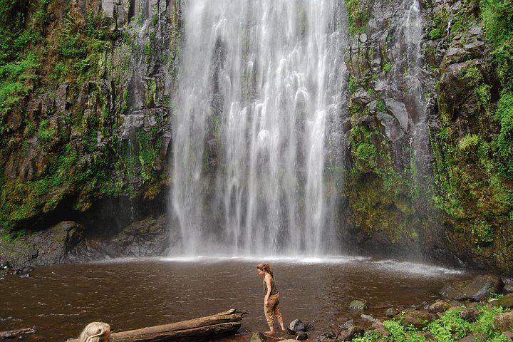 Private Materuni Waterfall, Coffee Farm and Kikuletwa Hot Spring Tour from Arusha Hotel (5/12)