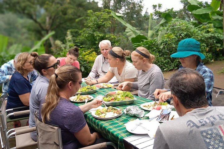 Private Materuni Waterfall, Coffee Farm and Kikuletwa Hot Spring Tour from Arusha Hotel (10/12)