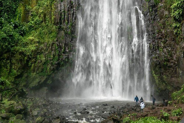 Private Materuni Waterfall, Coffee Farm and Kikuletwa Hot Spring Tour from Arusha Hotel (4/12)