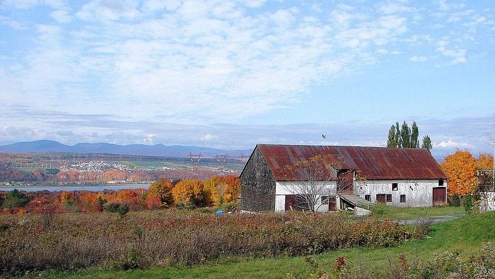 Private Guide and Driver Tour: Montmorency Falls, Sainte-Pétronille and Sainte-Anne Shrine (2/7)