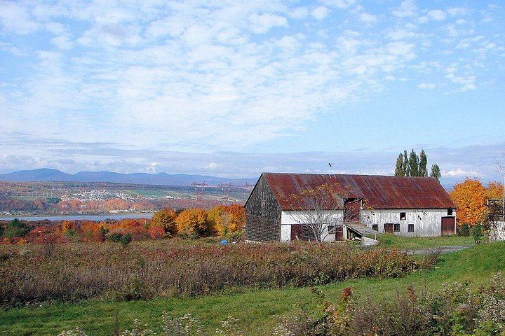 Private Guide and Driver Tour: Montmorency Falls, Sainte-Pétronille and Sainte-Anne Shrine (2/7)
