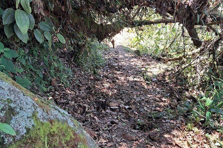 Private Paragliding Flight, Waterfall Hike and Mindfulness Session from Medellin (12/12)