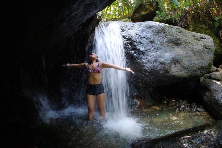Private Piñones Beach Buggy Ride and El Yunque Waterfall Tour, 1 Hour Buggy (8/12)